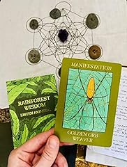 Rainforest wisdom listen for sale  Delivered anywhere in USA 