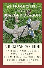Home bearded dragon for sale  Delivered anywhere in USA 