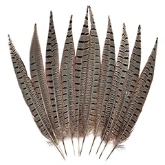 Feelfunfeather 5pcs pheasant for sale  Delivered anywhere in USA 