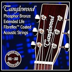 Tanglewood phosphor bronze for sale  Delivered anywhere in UK