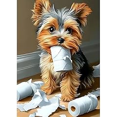 Mxjsua yorkshire puppy for sale  Delivered anywhere in UK