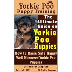 Yorkie poo puppy for sale  Delivered anywhere in UK