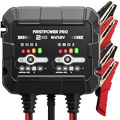 Bank trickle charger for sale  Delivered anywhere in USA 