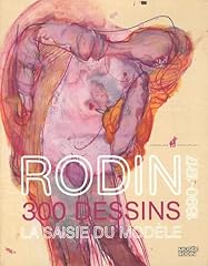 Rodin 300 dessins gebraucht kaufen  Wird an jeden Ort in Deutschland