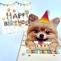 Pomeranian dog birthday for sale  Delivered anywhere in USA 