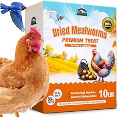 Dried mealworms 10lb for sale  Delivered anywhere in USA 