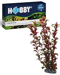 Hobby aquaristik ludwigia gebraucht kaufen  Wird an jeden Ort in Deutschland