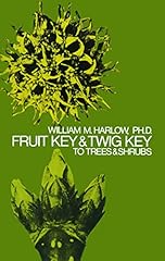 Fruit key twig for sale  Delivered anywhere in USA 