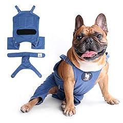 Ichoue cute dog for sale  Delivered anywhere in USA 