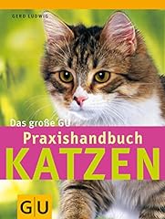 Katzen große gu gebraucht kaufen  Wird an jeden Ort in Deutschland