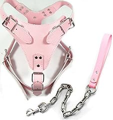 Dogs kingdom soft for sale  Delivered anywhere in USA 