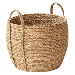 Wzthlf flower plant for sale  Delivered anywhere in UK
