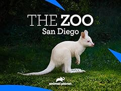 Zoo san diego for sale  Delivered anywhere in USA 