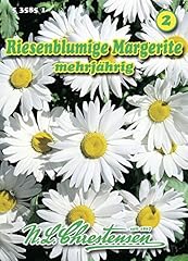 Chrestensen 535851 margerite gebraucht kaufen  Wird an jeden Ort in Deutschland