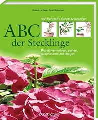 Abc stecklinge gebraucht kaufen  Wird an jeden Ort in Deutschland