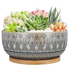 Inch ceramic succulent for sale  Delivered anywhere in USA 