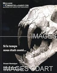 nautile fossile d'occasion nautile fossile d'occasion Livré partout en France