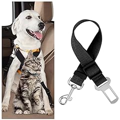 Ceinture sécurité chien d'occasion  Livré partout en France