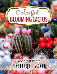 Colorful blooming cactus for sale  Delivered anywhere in USA 