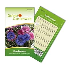 Kornblume gefüllte mischung gebraucht kaufen  Wird an jeden Ort in Deutschland