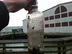 Puget sound treasure for sale  Delivered anywhere in Ireland