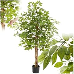 Tectake albero ficus usato  Spedito ovunque in Italia 