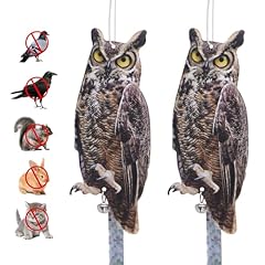 Owl keep birds for sale  Delivered anywhere in USA 