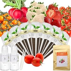 Red strawberry pineberry for sale  Delivered anywhere in UK