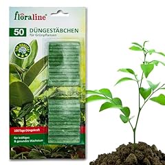 Floraline 50x grünpflanzen gebraucht kaufen  Wird an jeden Ort in Deutschland