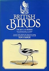 British birds for sale  Delivered anywhere in UK