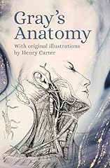 Gray anatomy original for sale  Delivered anywhere in USA 