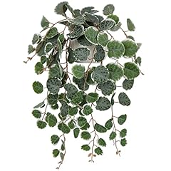 Hollyone trailing artificial for sale  Delivered anywhere in UK