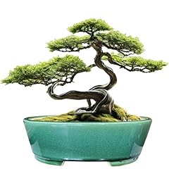 Muzhi glazed oval for sale  Delivered anywhere in USA 