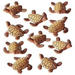 Pack sea turtle for sale  Delivered anywhere in USA 