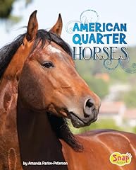 American quarter horses usato  Spedito ovunque in Italia 