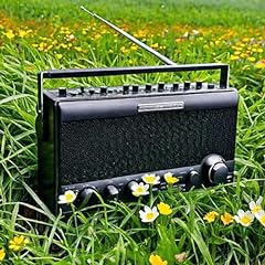 Green radio usato  Spedito ovunque in Italia 