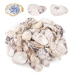 Qeqekaka 25pcs oyster for sale  Delivered anywhere in USA 