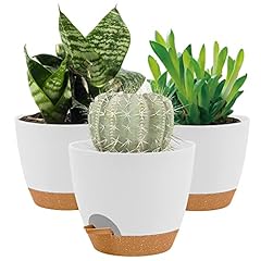 16.5cm plant pots for sale  Delivered anywhere in UK