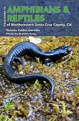 Field guide amphibians for sale  Delivered anywhere in USA 