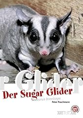 Der sugar glider d'occasion  Livré partout en France