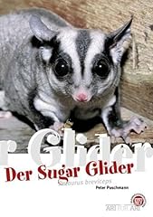 Der sugar glider d'occasion  Livré partout en France