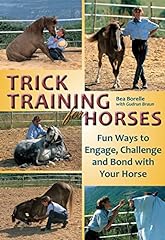Trick training horses for sale  Delivered anywhere in USA 