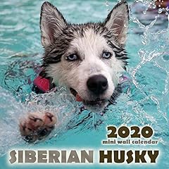The Siberian Husky 2020 Mini Wall Calendar, used for sale  Delivered anywhere in Canada
