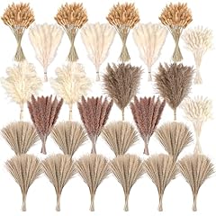 610 pcs dried for sale  Delivered anywhere in USA 