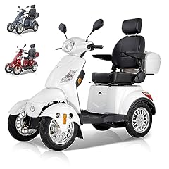 Zvgreen m500s25 elektromobil gebraucht kaufen  Wird an jeden Ort in Deutschland