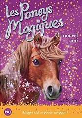 roman poney magique d'occasion  Livré partout en France
