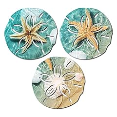 Brevoscht sand dollar for sale  Delivered anywhere in USA 