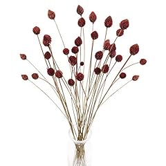 Mhmjon pcs dried for sale  Delivered anywhere in USA 
