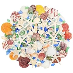 Fangoo coquillages mixtes d'occasion  Livré partout en France