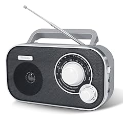 Dreamsky portable radio for sale  Delivered anywhere in USA 